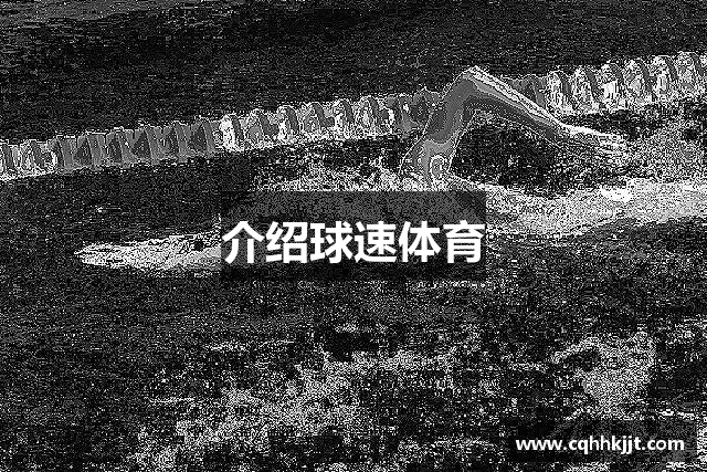 介绍球速体育